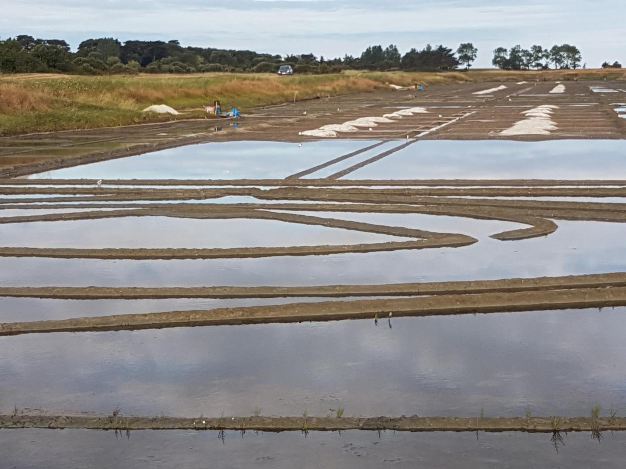 Detente Gite Et Spa Entre Mer Et Marais Villeneuve-en-Retz Eksteriør billede