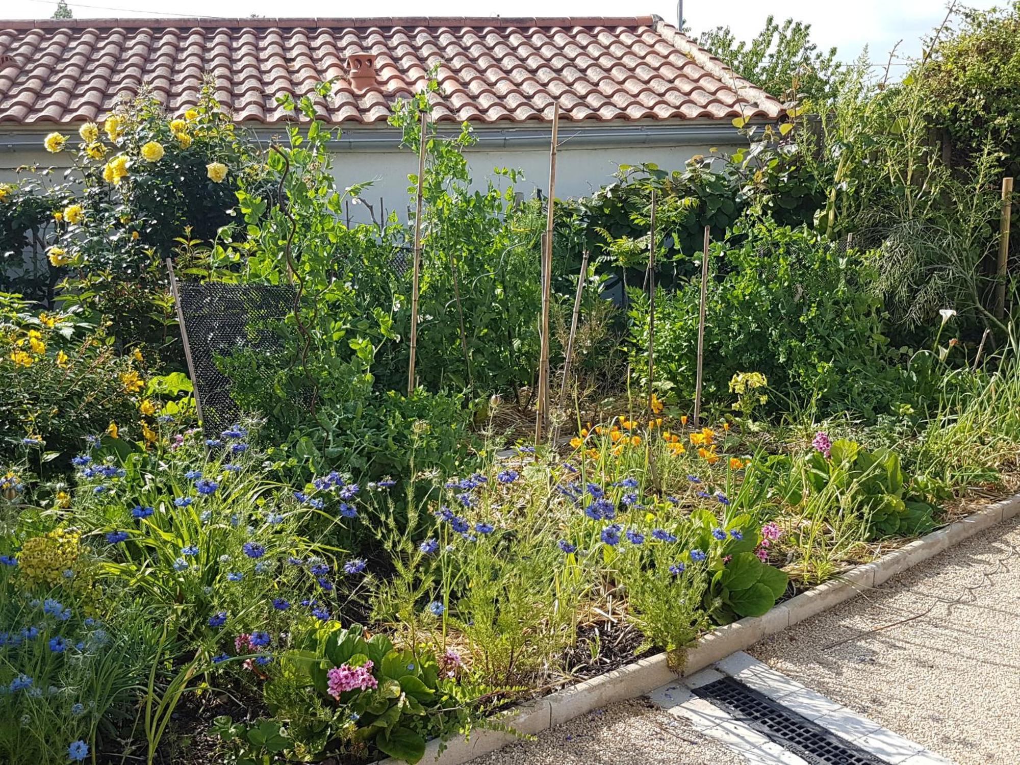 Detente Gite Et Spa Entre Mer Et Marais Villeneuve-en-Retz Eksteriør billede